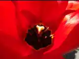 DSCF6474.jpg
