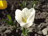 DSCF6503.jpg