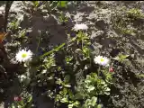 DSCF6519.jpg