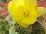 DSCF6984.jpg