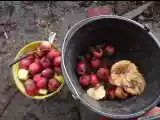 DSCF7579.jpg
