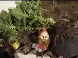 DSCF7583.jpg