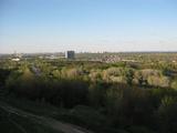 IMG_0598.jpg