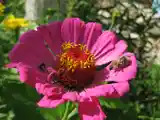 IMG_0756.jpg