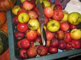 IMG_1060.jpg