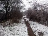 IMG_1179.jpg